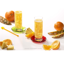 Koude drank met ananassmaak (5 zakjes)