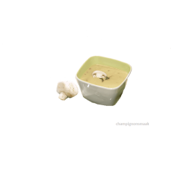 Eiwitrijke soep met champignonsmaak (5 zakjes)