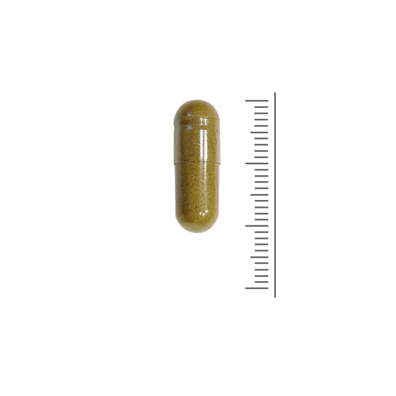 Vochtbalans - kurkuma