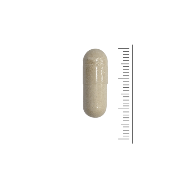 Ester c (vitamine c gebufferd)