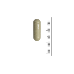 Neopuntia (vetbinder)