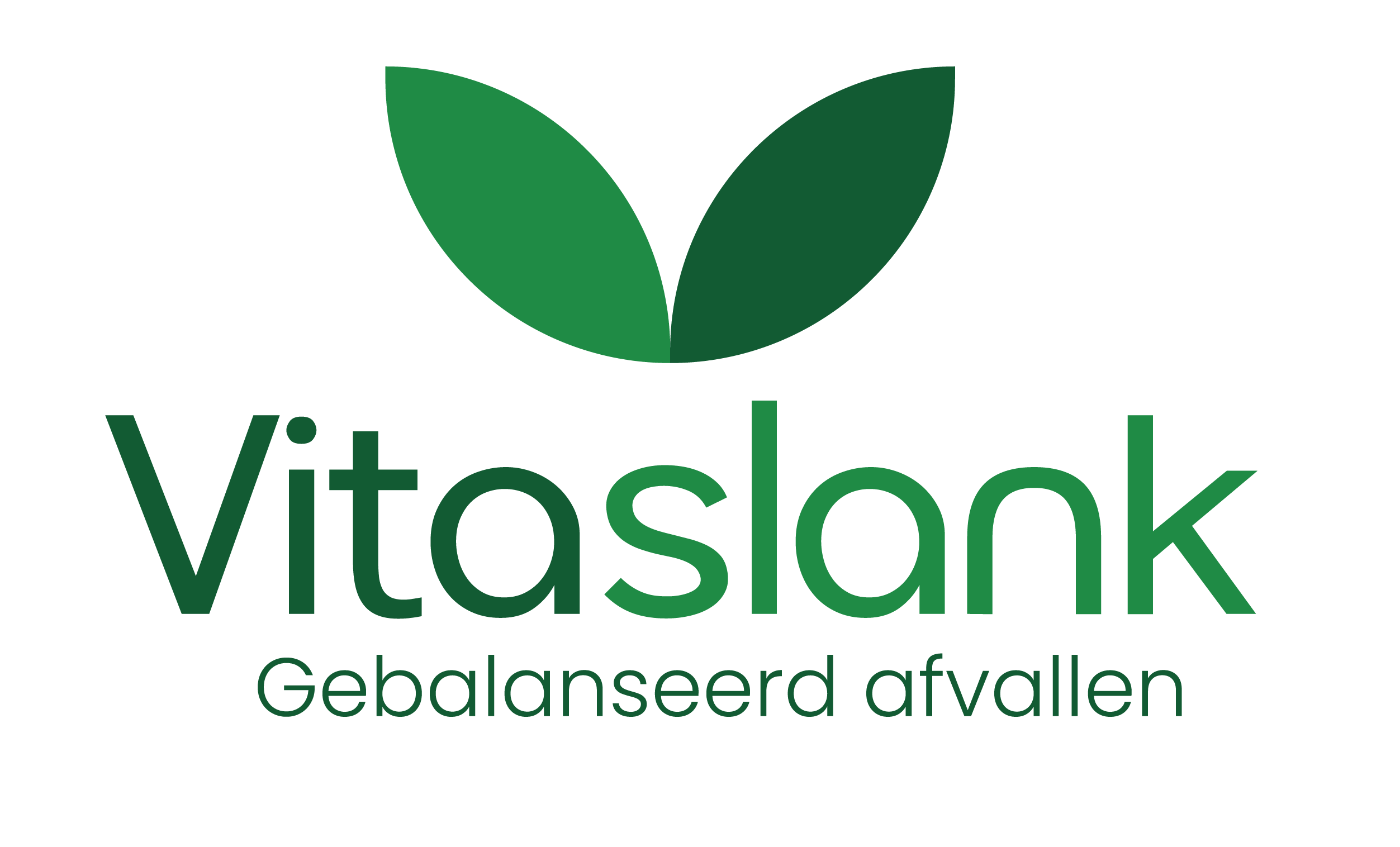 VitaSlank logo